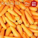 【国産】正品にんじん 10kg Lサイズ 約50本入 送料無料 ニンジン 人参 carrot その1