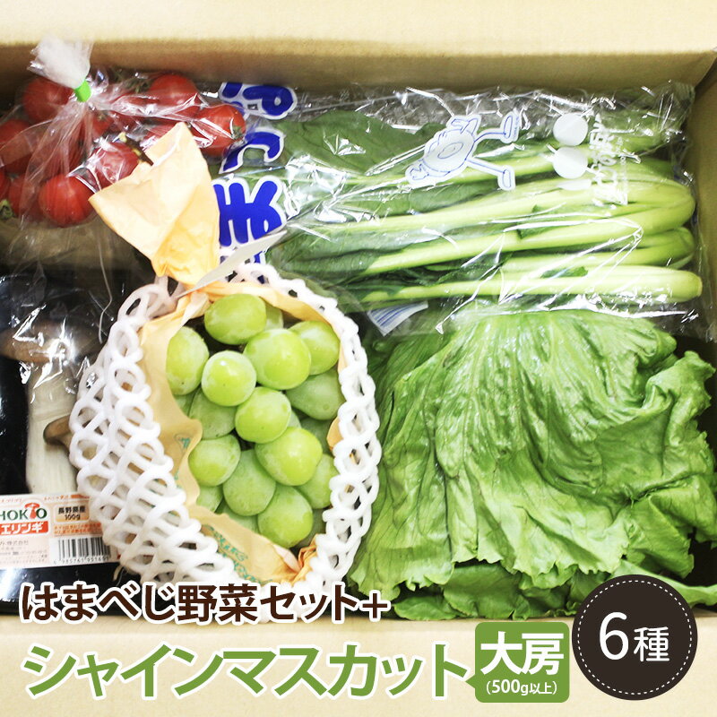 はまべじ　野菜セット5種とシャインマスカット500g以上大房1 　送料無料野菜 盛り合わせ ギフト（母の日 父の日 御中元 お中元 御歳暮 お彼岸 お見舞い等々 敬老の日 夏ギフト）のサムネイル