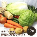 はまべじ　野菜もりもりセット 12種