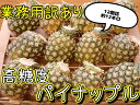 箱売り【フィリピン産】パイン 12個入り 約12キロ 業務用訳あり高糖度パイナップル パインジュース パインケーキ パインカッター 送料無料