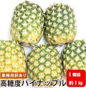 【フィリピン産】パイン 業務用訳あり高糖度パイナップル パインジュース パインケーキ 5個 約5キロ 送料無料 皮付き原体 葉っぱなし フレッシュ