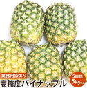 【フィリピン産】パイン 業務用訳あり高糖度パイナップル パインジュース パインケーキ 5個 約5キロ 送料無料 皮付き原体 葉っぱなし フレッシュ
