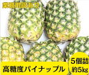 【フィリピン産】パイン 約5キロ 【店長イチオシ】【スタッフおすすめ】業務用訳あり 高糖度パイナップル 8月17日はパイナップルの日!!送料無料 皮付き原体 葉っぱなし フレッシュ パインカッター