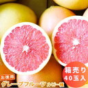 【南アフリカ産】40玉入 グレープフルーツ ルビー 箱売り グレープフルーツ 1個約420gのグレープフルーツが40個入っています 送料無料 グレープフルーツジュース100% グレープフルーツシロップ漬け ピンクグレープフルーツ 爽やか フレグランス|詳細画像