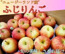 【ニュージーランド産】ふじりんご 【店長厳選】【スタッフおすすめ】約2kg 10個〜14個 りんご リンゴ 林檎 フルーツ プレゼント ギフト【送料無料】栄養た...