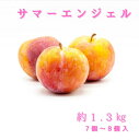 【サマーエンジェル】【プラム】【季節限定】 約1.3キロ すもも 【店...(4)
