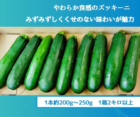 Rakuten - ズッキーニ 1本約200g～250g1箱2キロ以上 彩り野菜 食物繊維豊富 旬の野菜 ヘルシー みずみずしい 体にやさしい　栄養バランス 夏の野菜スープ