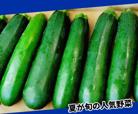 【長野県産】ズッキーニ 1本約200g〜250g1箱2キロ以上 彩り野菜 食物繊維豊富 旬の野菜 ヘルシー みずみずしい 体にやさしい　栄養バランス 夏の野菜スープ hamachu-10001155 はまべじ サンプル画像2