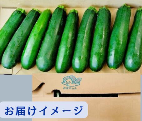 【長野県産】ズッキーニ 1本約200g〜250g1箱2キロ以上 彩り野菜 食物繊維豊富 旬の野菜 ヘルシー みずみずしい 体にやさしい　栄養バランス 夏の野菜スープ hamachu-10001155 はまべじ サンプル画像3