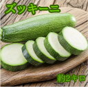 送料無料 夏野菜 ズッキー二 1本約200g~250g 長野産 1箱2キロ以上 彩り野菜 食物繊維豊富 旬の野菜 ヘルシー みずみずしい 体にやさしい 栄養バランス 夏の野菜スープ 新鮮