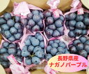 【ナガノパープル】【ケース売り】長野産 ぶどう 種なし 皮ごと 高級 ギフト 贈答 お取り寄せ 旬 糖度 甘い ぶどう狩り シャインマスカット 巨峰 糖度 送料...