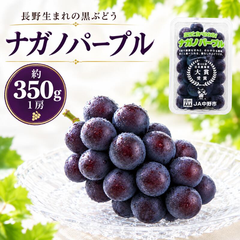 楽天市場】ぶどう（品種（ブドウ）巨峰）の通販
