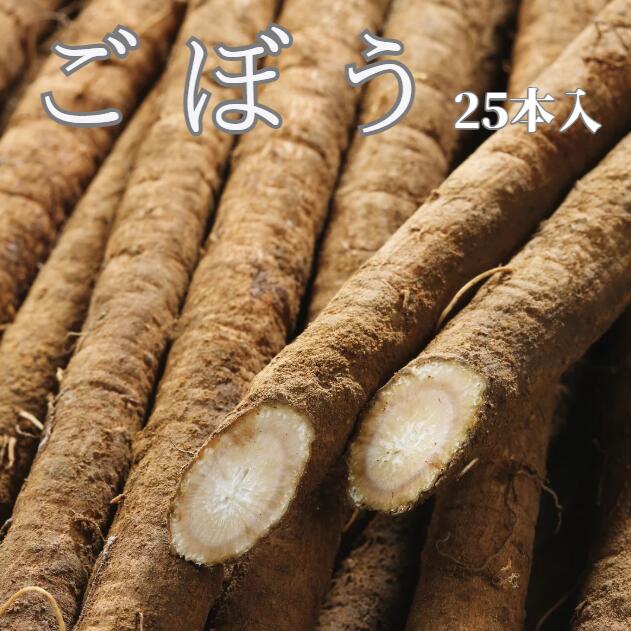 【国産】ごぼう 25本入 1本200g前後 送料無料 箱売り 業務用 ごぼう 牛蒡 ゴボウ 便秘解消 腸活 栄養満..