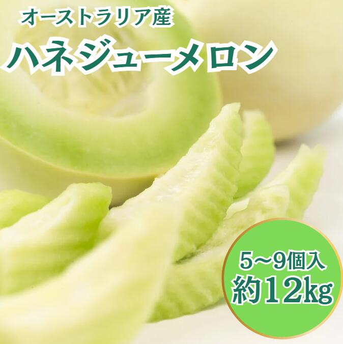 【オーストラリア産】ハネジューメロン 5~9個 12キロケース売り 送料無料オーストラリア産 メロン フル..