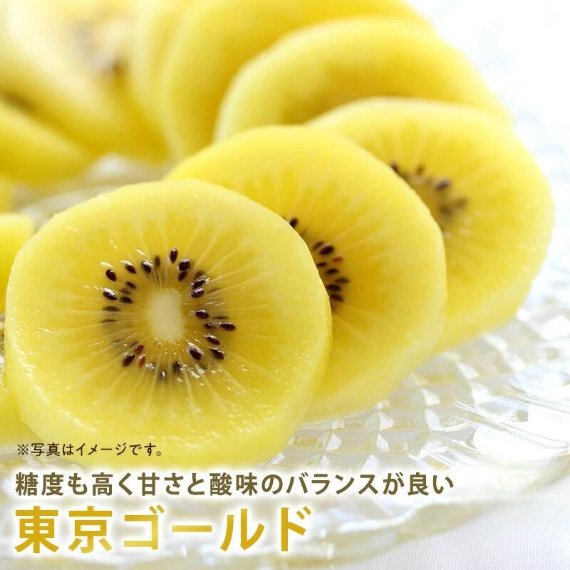 【入荷スタート】 東京ゴールド 静岡県産 キウイ 約1キロ11～12個 約2キロ22～24個 約3キロ 33～36個 フルーツ プレゼント ギフト 贈答用 送料無料 甘みたっぷり 甘くてジューシー 高級フルーツ 国産の安心品質 新鮮直送 お歳暮・お中元に 季節限定取り寄せ 旬 果物
