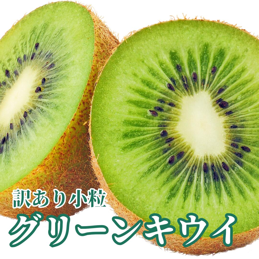 【長野県産】訳あり小粒キウイ 1キロ・2キロ・4キロ・10キロ 1ヶ約50～60グラム 送料無料 訳あり 小粒..