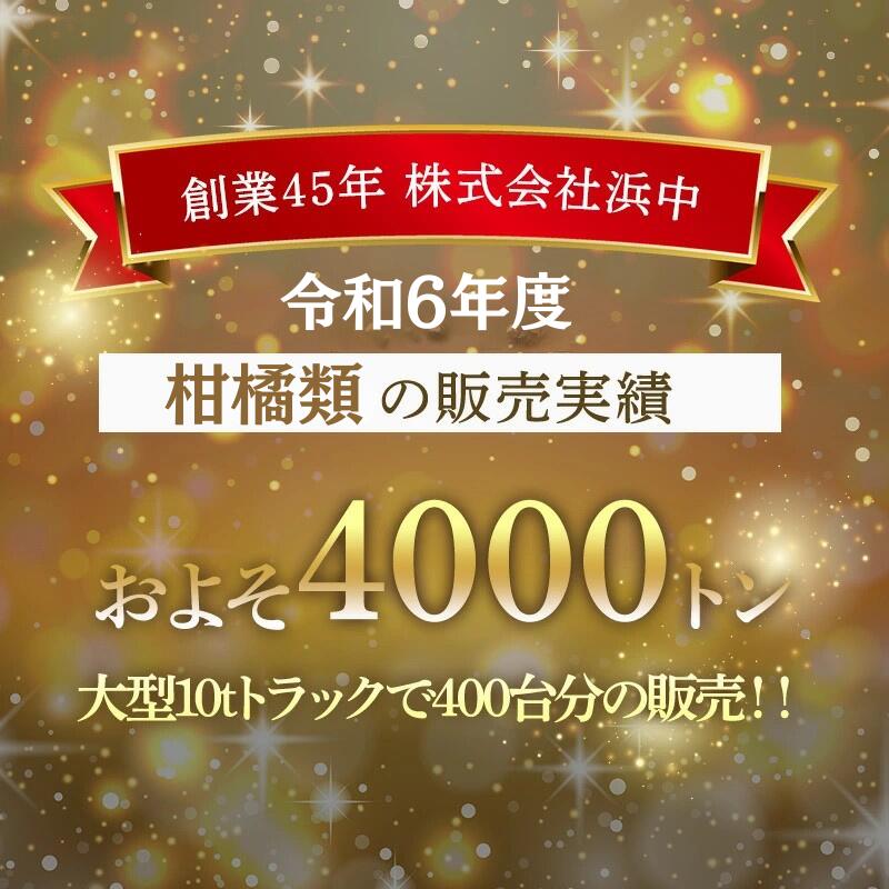 【静岡県産】 訳ありデコポン大きさおまかせ2キロ 約6～8個入 5キロ約18～20個入 送料無料 しらぬい デコポン でこぽん みかん ミカン 蜜柑 甘い 糖度 お取り寄せ 静岡 濃厚 甘みたっぷり 果汁たっぷり 柑橘 フルーツ 旬の柑橘 季節限定 人気 フルーツ 国産 ジューシー 3