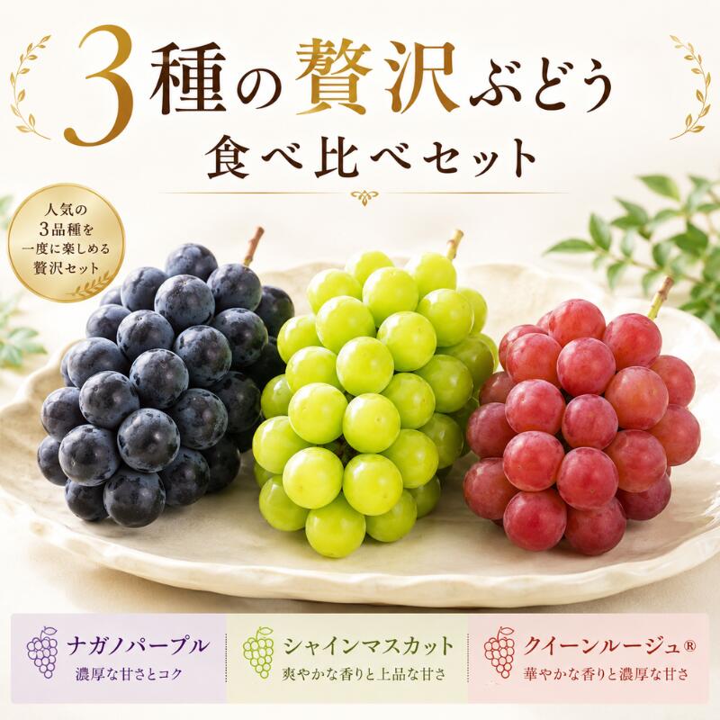 3種の贅沢ぶどう食べ比べセット シャインマスカット1房 ナガノパープル1房 クイーンルージュ1房 各約450g 送料無料 プレゼント 贈答用 ギフト 敬老の日 お中元 お礼 御祝 御供 果物 くだもの 葡萄 ぶどう ブドウ 種なし フルーツギフト 甘い ジューシー 巨峰 人気 季節限定