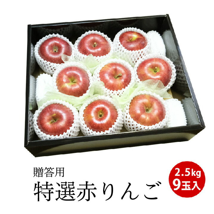 【青森・長野県産】フジ りんご 2.5キロ（大玉9玉入り）林