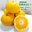 みかん 【静岡県産】完熟あまなつ 10kg 2L中心 20〜26個入り 夏柑 送料無料 甘夏 みかん 柑橘