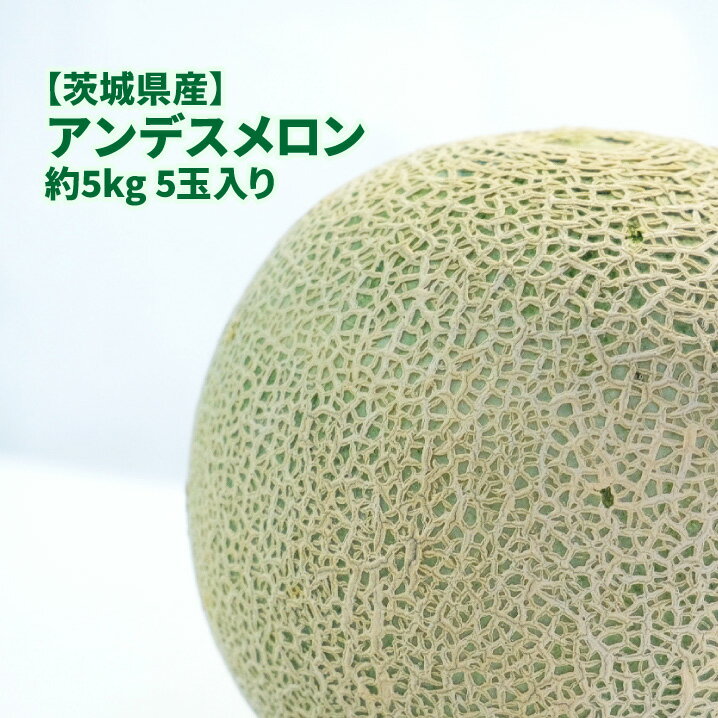 【茨城県産】アンデスメロン 5kg 5玉入り メロン 送料無料 ギフト おうち フルーツ 果物 形不揃い ちょっと訳あり
