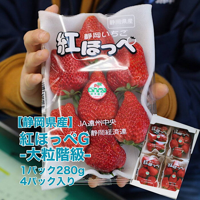【静岡県産】紅ほっぺ G 4パック入り 1パック280g 送料無料 いちご 苺 イチゴ デコレーション ケーキ
