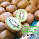 【静岡県　山梨県産】キウイフルーツ 33玉 箱売り 国産 グ