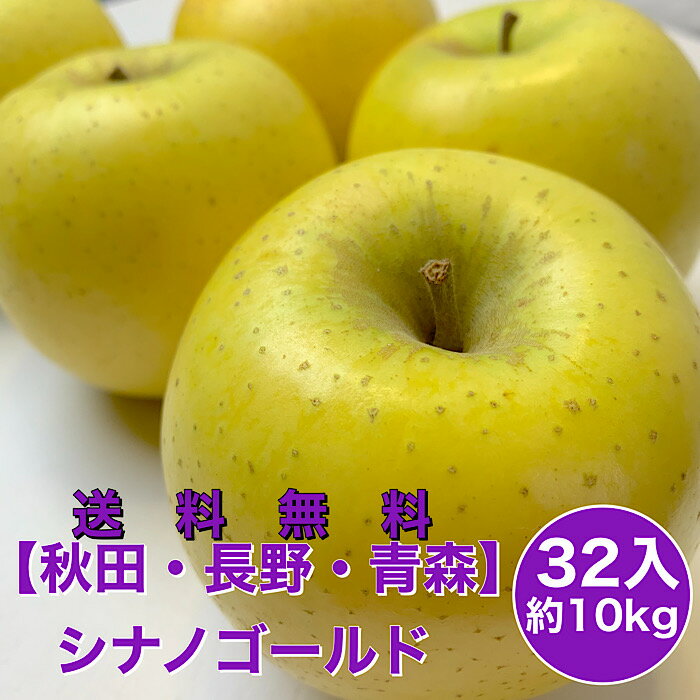 りんご 【青森・長野県産】 シナノゴールド 32入 10kg リンゴ りんご 林檎 旬 果物