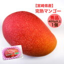 【宮崎県産】完熟マンゴー 秀品 1パック 1個入り 400g以上 送料無料 樹上完熟