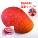 【宮崎県産】完熟マンゴー 優品 1パック 1個入り 400g以上 送料無料 樹上完熟