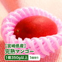 【宮崎県産】完熟マンゴー 1パック 1個入り 1個売り 350g以上 送料無料 樹上完熟(4)