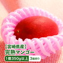 【宮崎県産】完熟マンゴー 1パック 1個入り 3個売り 350g以上 送料無料 樹上完熟