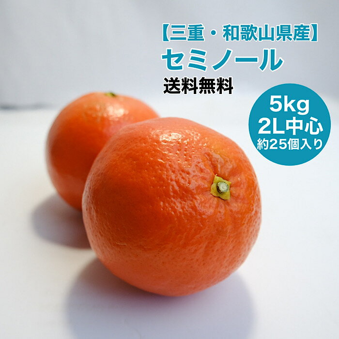 みかん 【三重県産】セミノール 2L 5kg 約25個入 箱売り 送料無料 みかん 晩柑類 果物