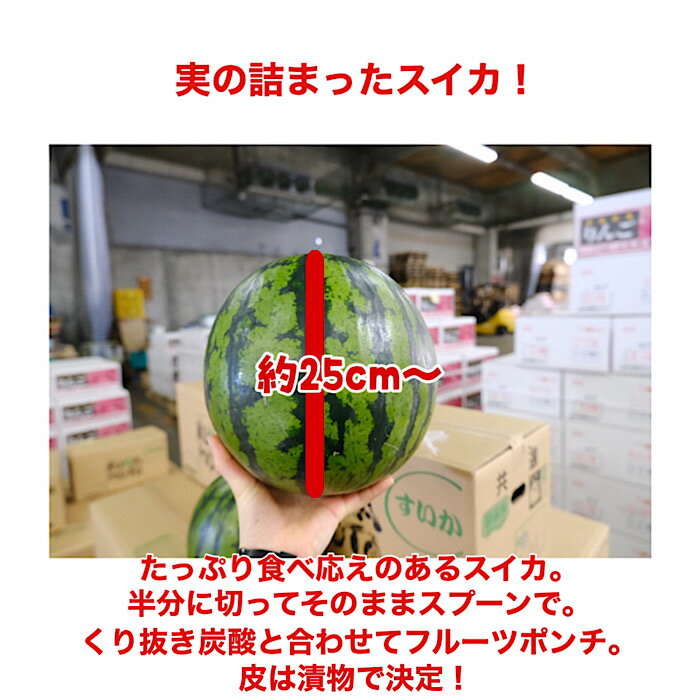 【熊本県産】すいか 2玉入り 約10kg 送料無料 西瓜 スイカ ウォーターメロン 2