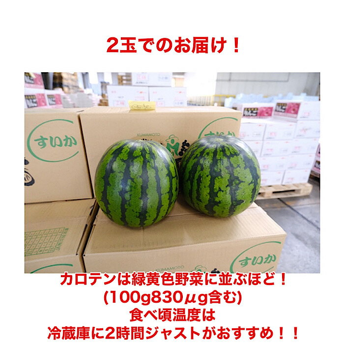 【熊本県産】すいか 2玉入り 約10kg 送料無料 西瓜 スイカ ウォーターメロン 3