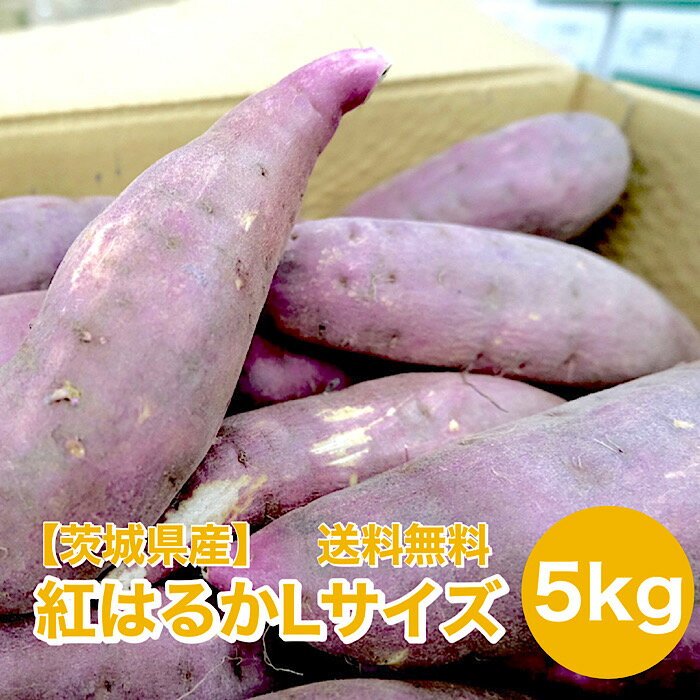 楽天市場】紅はるか lサイズ 送料無料の通販 楽天市場】紅はるか lサイズ 送料無料の通販