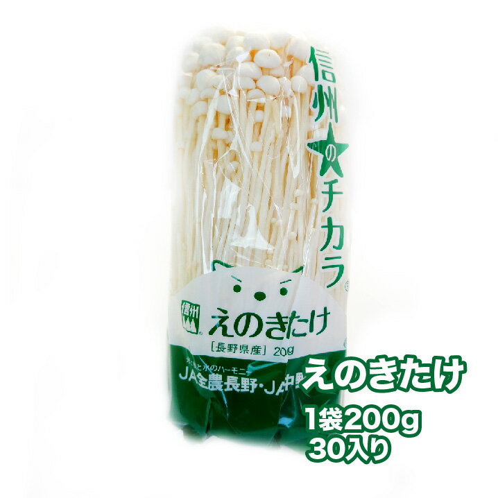 【長野県産】えのきたけ 30個入り 6kg 1個200g 送料無料 えのき 榎茸 きのこ キノコ ナメタケ ユキノシタ ナメススキ えのき茸