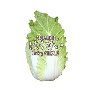 【長野県産】白菜 6玉入り 15kg 1玉2.5kg 送料無料 はくさい ハクサイ hakusai