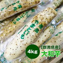 【群馬県産】大和芋 4kg 棒 送料無料 ヤマトイモ 長芋 とろろ