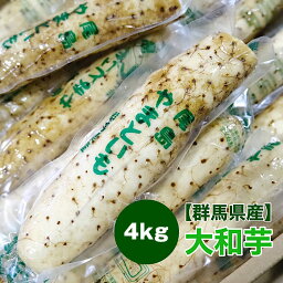 【群馬県産】大和芋 4kg 棒 送料無料 ヤマトイモ 長芋 とろろ