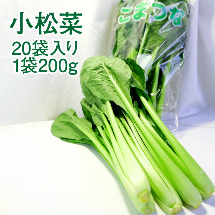 小松菜のお知らせです。 食べやすく栄養価も高い周年人気の緑黄色野菜。 加熱調理、生でもオッケー。 鍋、炒め物、油揚げとじゃこでおひたしでも、何でも。 やはり雑煮には欠かせない 牛乳＋果物＋小松菜のスムージーで、 より効率的に栄養をゲット！！ 色鮮やかな緑色、アクが少なく他の青菜より食べやすい。 東京都江戸川区の小松川が由来とされており、 8代将軍、徳川吉宗が名付け親と言われている。 今では周年見られるが、本来の旬は秋〜冬。 商品説明 名称 小松菜 産地名 国産（静岡県産） 内容量 4kg　20入り（1袋200g） 保存方法 新聞紙を水で濡らして優しく包み、冷蔵保存。お早めに消費を！小松菜のお知らせです。 食べやすく栄養価も高い周年人気の緑黄色野菜。 加熱調理、生でもオッケー。 鍋、炒め物、油揚げとじゃこでおひたしでも、何でも。 やはり雑煮には欠かせない 牛乳＋果物＋小松菜のスムージーで、 より効率的に栄養をゲット！！ 色鮮やかな緑色、アクが少なく他の青菜より食べやすい。 東京都江戸川区の小松川が由来とされており、 8代将軍、徳川吉宗が名付け親と言われている。 今では周年見られるが、本来の旬は秋〜冬。 商品説明 名称 小松菜 産地名 国産（静岡県産） 内容量 4kg　20入り（1袋200g） 保存方法 新聞紙を水で濡らして優しく包み、冷蔵保存。お早めに消費を！