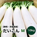 【静岡県産】大根 10kg 12入れ Mサイズ 送料無料 だいこん ダイコン ラデッシュ すずしろ 春の七草 根菜