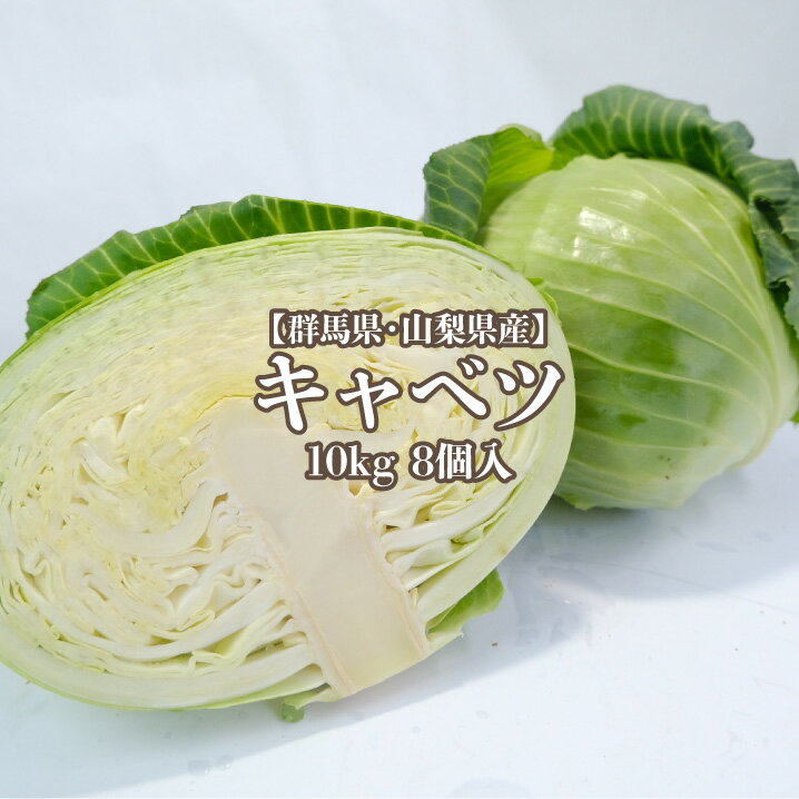 【静岡県　愛知県産】キャベツ 10kg 8玉入り 送料無料 寒玉キャベツ きゃべつ cabbage 甘藍 玉菜 球菜 初夏キャベツ 冬キャベツ つまごいキャベツ