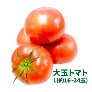 【静岡県産】大玉トマト 4kg 18-24玉入り 送料無料 箱売り リコピン とまと tomato ミネストローネ 料理 調理 食 グルメ