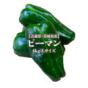 【青森県・茨城県産】ピーマン 4kg Lサイズ約80-90個入り 約50g 送料無料 greenpepper ナス科 トウガラシ属 piment pimento ビタミンC β-カロテン