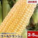 【2025販売スタート】【浜松産】スイートコーン ゴールドラッシュ 約2kg 3kg 5kg 1本300g以上 送料無料 黄色粒 モノカラー種 とうもろこし
