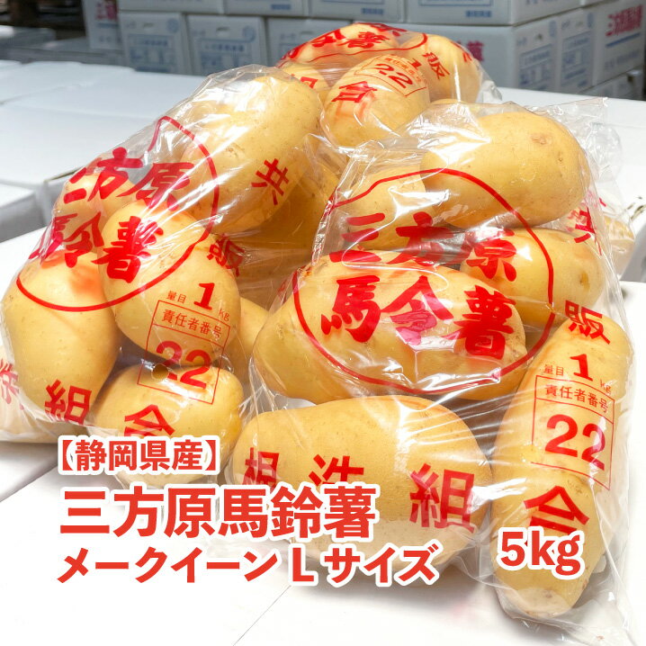 6月上旬より順次発送【静岡県産】三方原馬鈴薯 メークイーン 5kg Lサイズ 送料無料 1袋1kg 5袋入り じゃがいも メー…