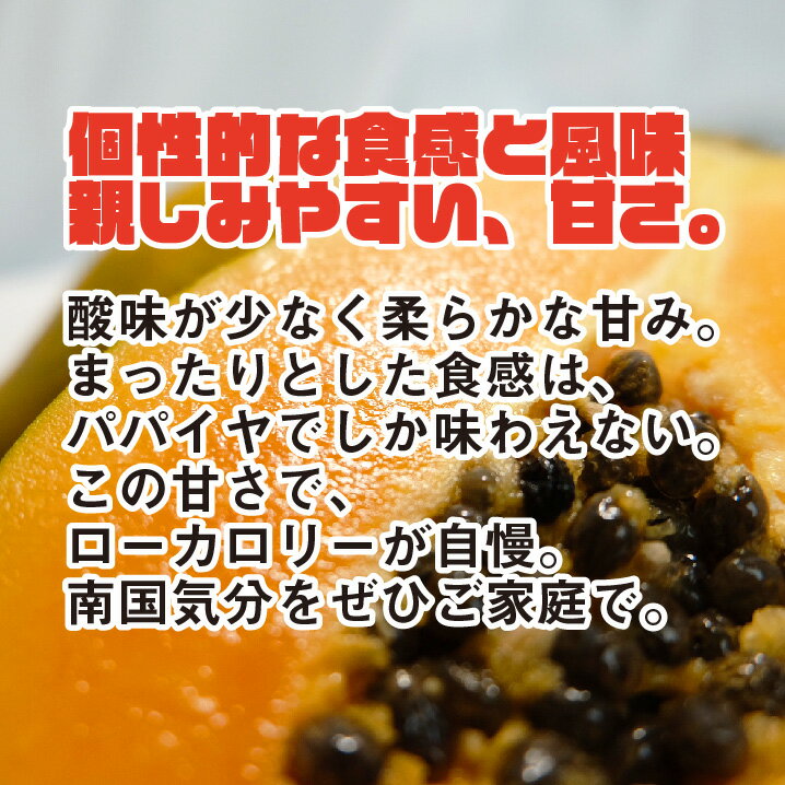 【フィリピン産】パパイヤ 約5kg 8個から10個入れ 送料無料 パパイア 木瓜 トロピカルフルーツ 乳瓜