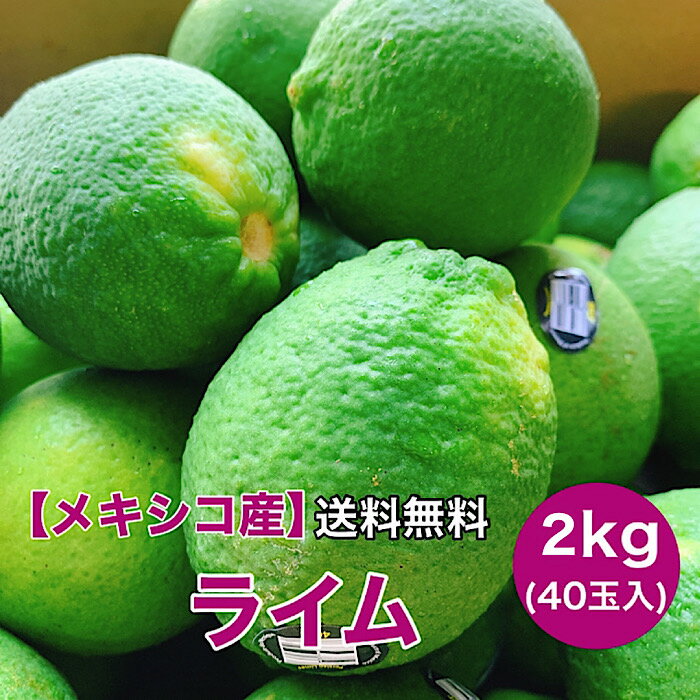 ライム箱売り1箱40玉2kg清々し...
