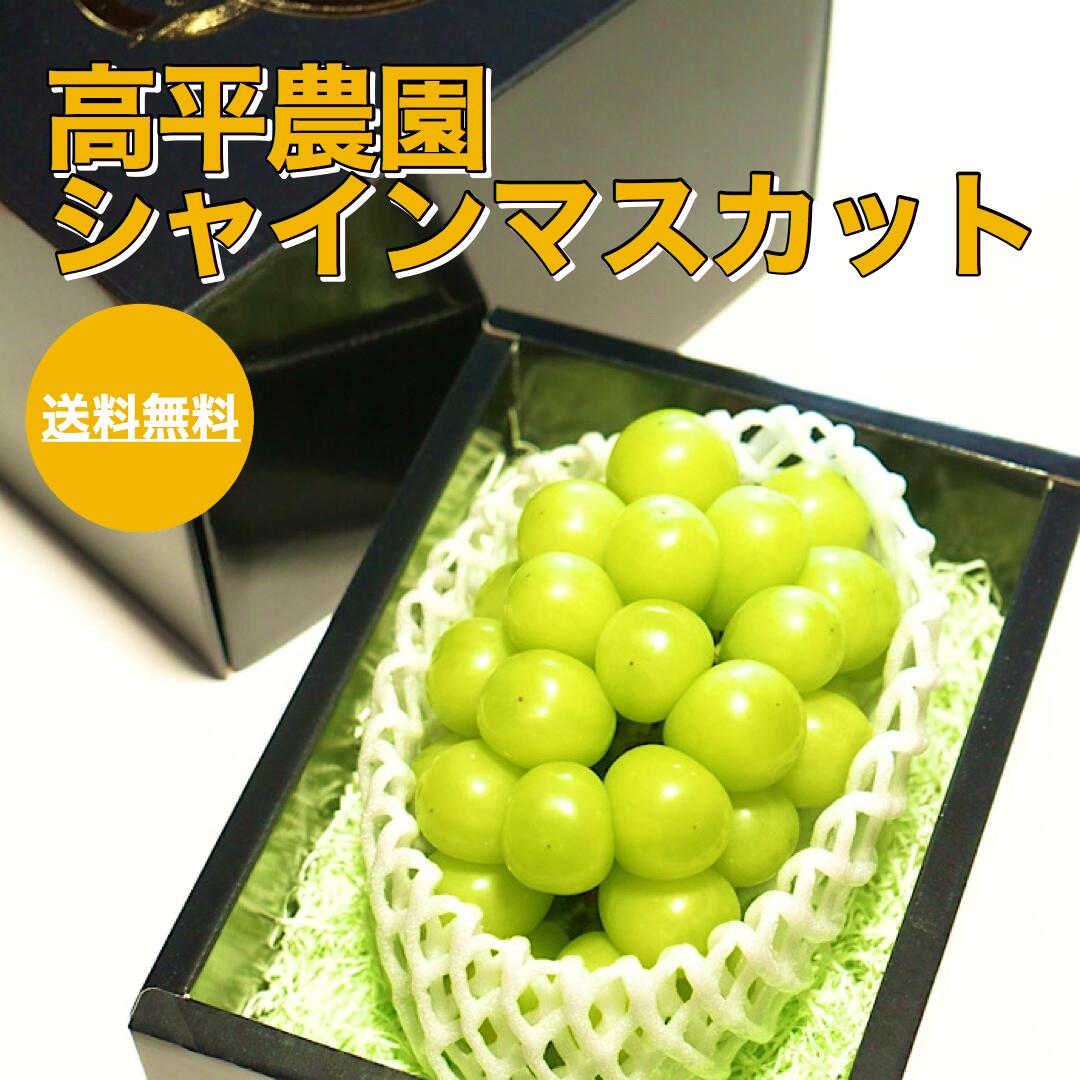 【数量限定予約販売】【静岡県産】高平農園のシャインマスカット 美味しい 高平農園 ぶどう 贈答用 ギフト お中元 美味しい フルーツ 果物【7/20~随時発送】